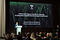 Губернатор Краснодарского края предложил защитить виноградопригодные земли на федеральном уровне