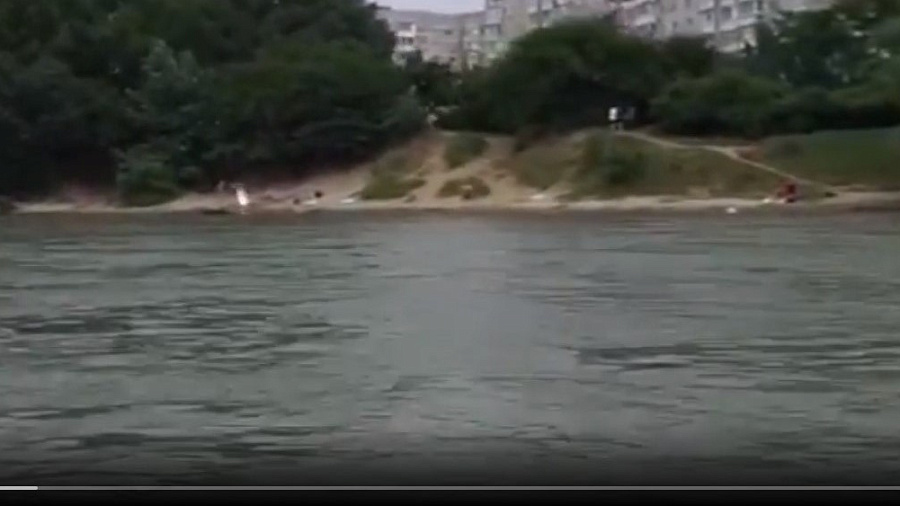 В Краснодаре в реке Кубань чуть не утонула пьяная женщина