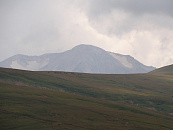 Владимир Путин встретился с главой Адыгеи Муратом Кумпиловым