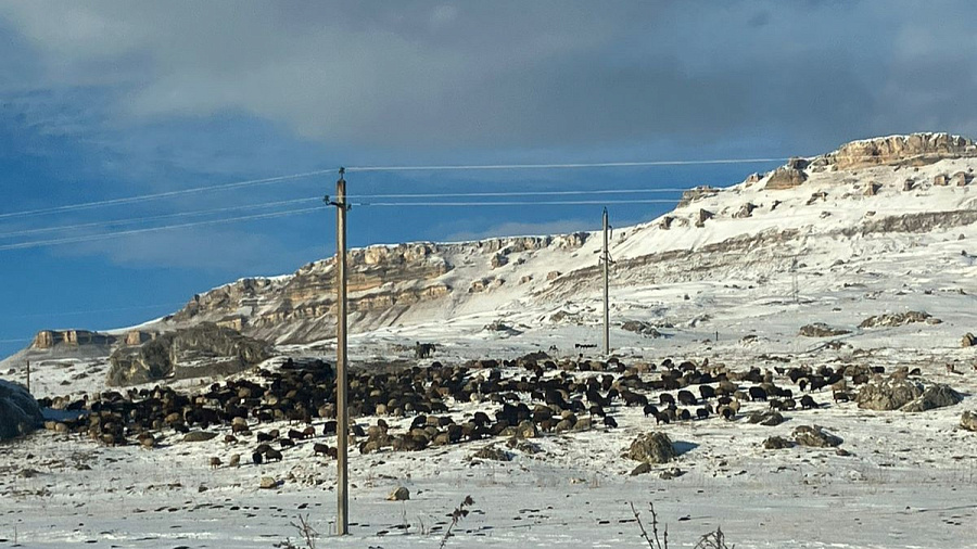 В Гузерипле, а также горных курортах Адыгеи и Кубани во вторник прогнозируют «температурные качели» и туман на фоне переменчивой погоды