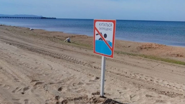 В Анапе откладывается старт сезона — пляжи признаны опасными
