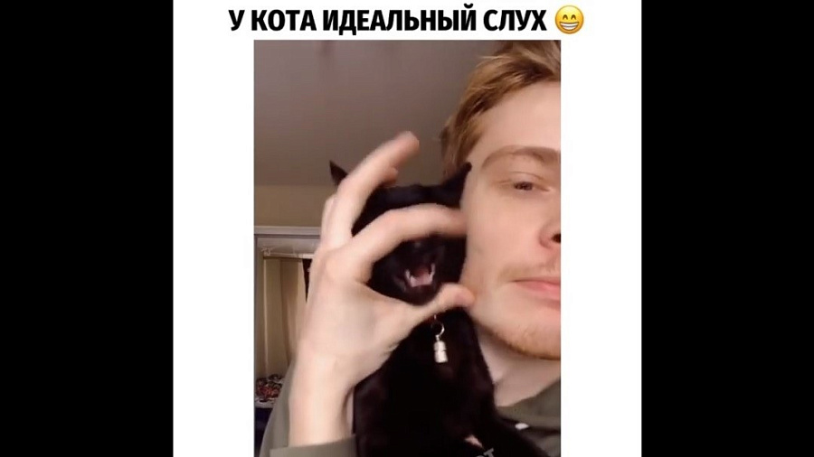 Парень, заставляющий кота подпевать Леди Гаге, возмутил пользователей Сети