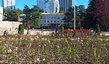  Вице-мэр Сочи по безопасности Снегирев ушел в отставку после 3,5 лет работы