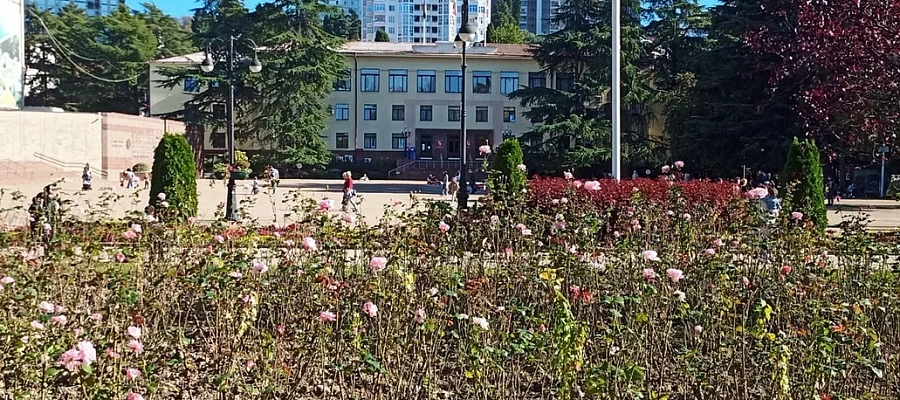  Вице-мэр Сочи по безопасности Снегирев ушел в отставку после 3,5 лет работы