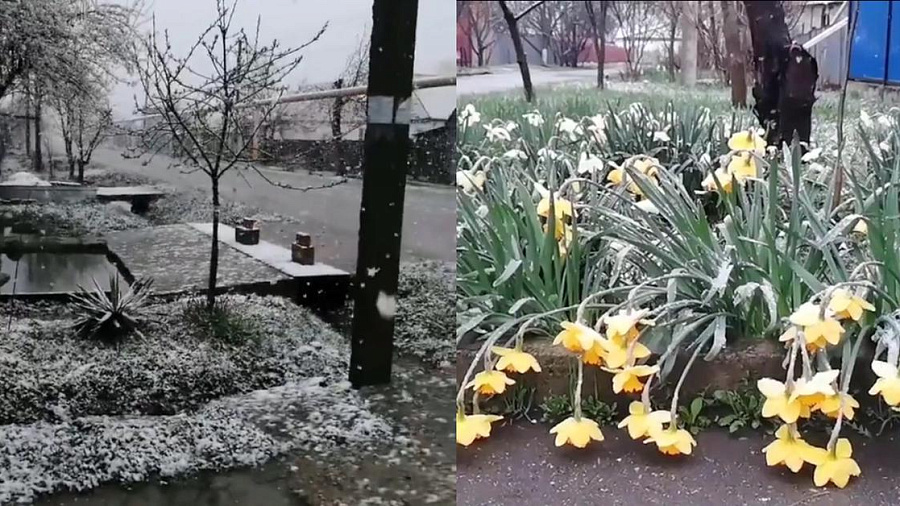 В Апшеронском районе и Майкопе выпал апрельский снег