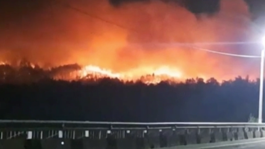 В Амурской области крупный лесной пожар подобрался вплотную к трассе 