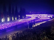 Волшебный неоновый шалфей озарил парк Галицкого в Краснодаре