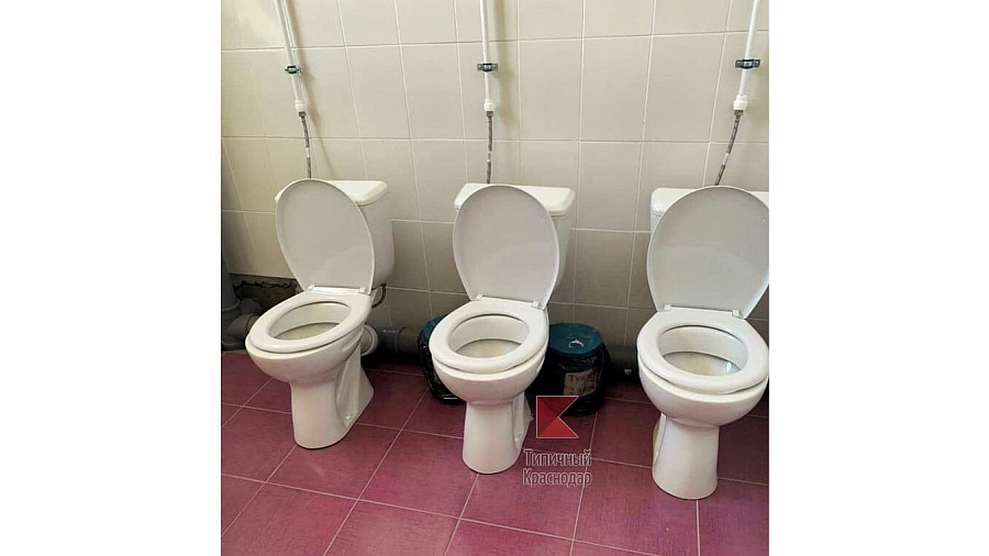 «Это какой-то извращенец придумал?»: туалет без дверей и ограждений в одной из школ Краснодара возмутил пользователей Сети