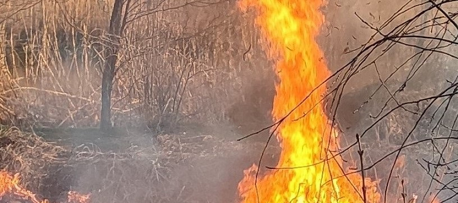 В Туапсинском районе горит лес на площади 2,8 га