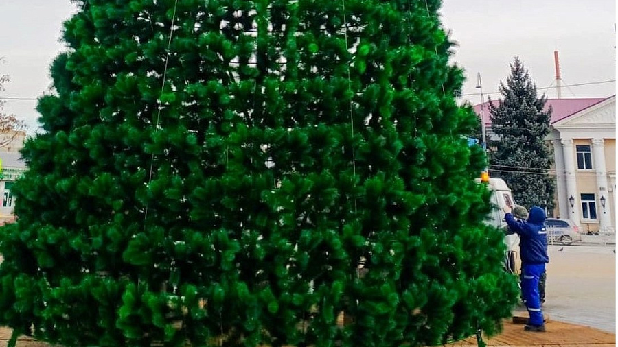 В Краснодарском крае украли несколько веток с главной новогодней елки одного из районов