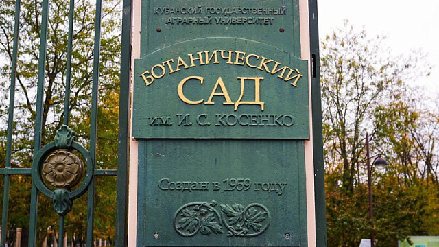 Дендрарий в Краснодаре закроют 9 октября из-за порывов ветра до 23 м/с