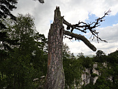 В Сочи таксист помог пенсионерке вернуть 370 тысяч рублей, отданных мошенникам