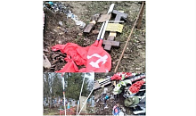 На Кубани сняли на видео зрелищную мурмурацию птиц