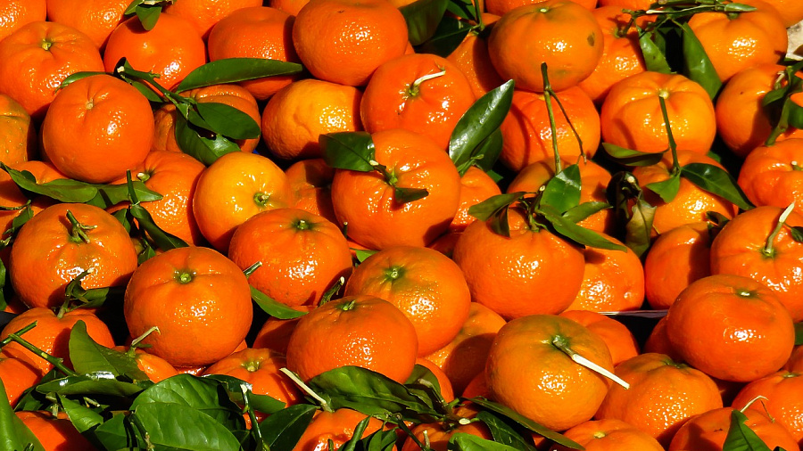 В порту Новороссийска задержали 44 тонны зараженных мандаринов