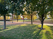 В Краснодаре и крае в конце рабочей недели погода удивит ноябрьским теплом с температурой до +23°С