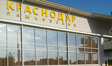 Аэропорт Краснодара возобновил полеты после ограничений