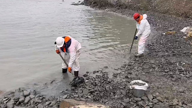 На побережье Кубани снова зафиксированы выбросы мазута в районе мыса Панагия