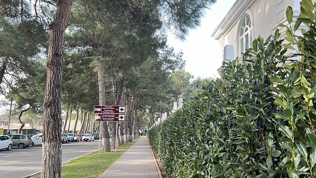 В Геленджике, а также на курортах Кубани 8 февраля прогнозируют малооблачную погоду с резкими температурными колебаниями и ветром до 32 м/с