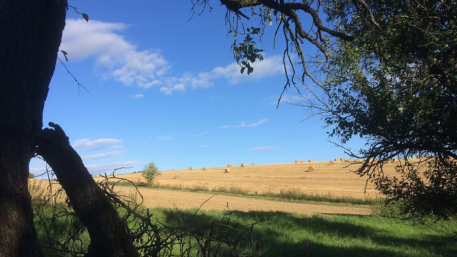 В Краснодарском крае изъяли 15 га земли у двух сельских кооперативов