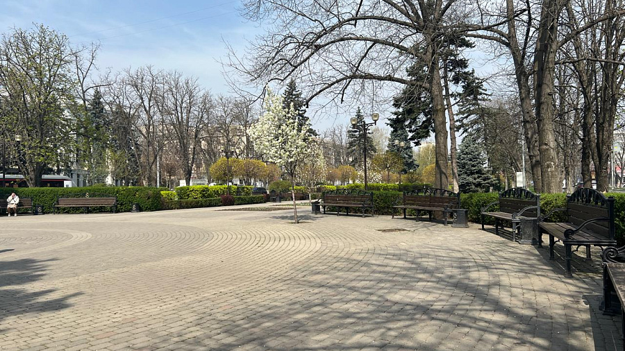 В Краснодаре и крае в середине недели погода порадует теплом до +19°С, но с туманом и локальными дождями