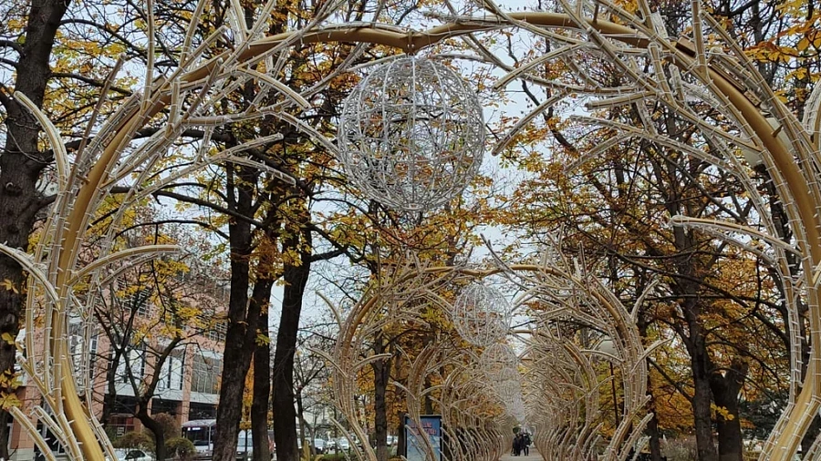 Улица Красная в Краснодаре зажглась новогодними звездами и арками