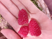 Названы продукты, сохраняющие молодость кожи лица вокруг глаз