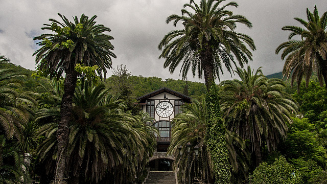 В России начали продавать «единые» билеты из Сочи в Абхазию