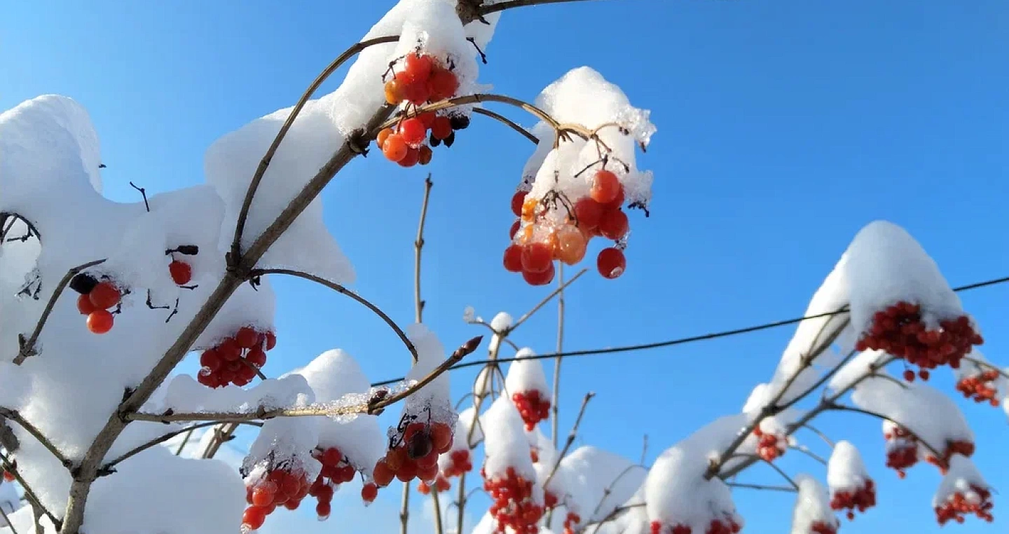 Синоптики назвали дату потепления и конца аномальных морозов в Краснодаре