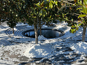 На трассе Джубга — Сочи с 19 января действует новая схема движения из-за ремонта