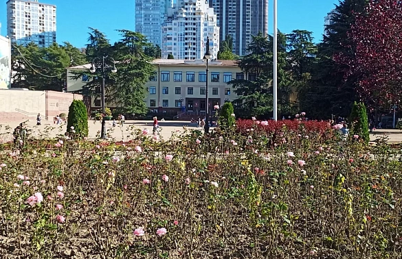 ФСБ задержала вице-мэра Сочи и глав двух департаментов мэрии