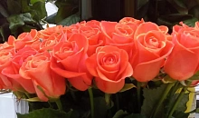 Краснодарцы на 8 марта готовы тратить до 10 тысяч рублей на подарки женам