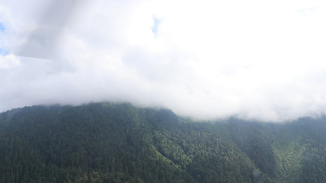 В горах Сочи спасатели не смогли добраться на вертолете к травмированному туристу из-за облачности