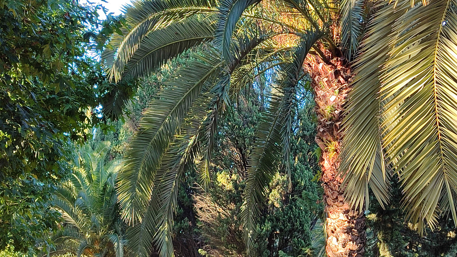 В гостиничном комплексе в Сочи, где отравились юные спортсмены, нашли нарушения 