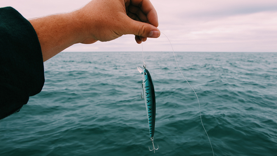 В Краснодарском крае в лиманах Азовского моря запретили рыбалку