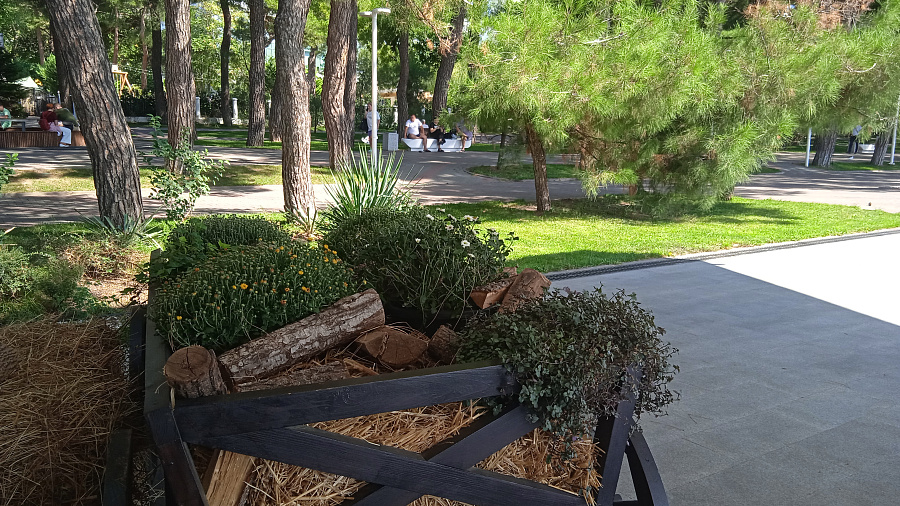 В Геленджике, а также на курортах Кубани 18 ноября ожидаются комфортные температуры на фоне ясной, ветреной погоды