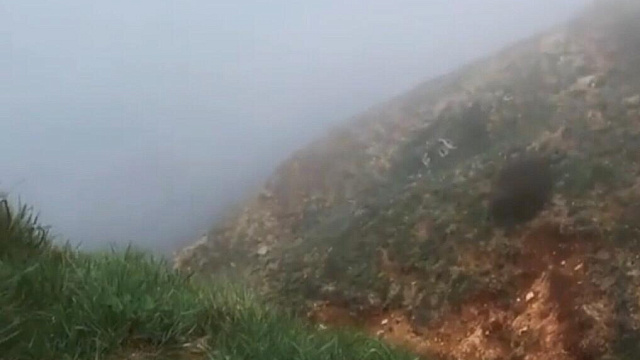 Анапа и Черноморское побережье превратились в туманный Альбион (ВИДЕО)