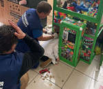 В Новороссийске ребенок застрял головой в автомате с игрушками 