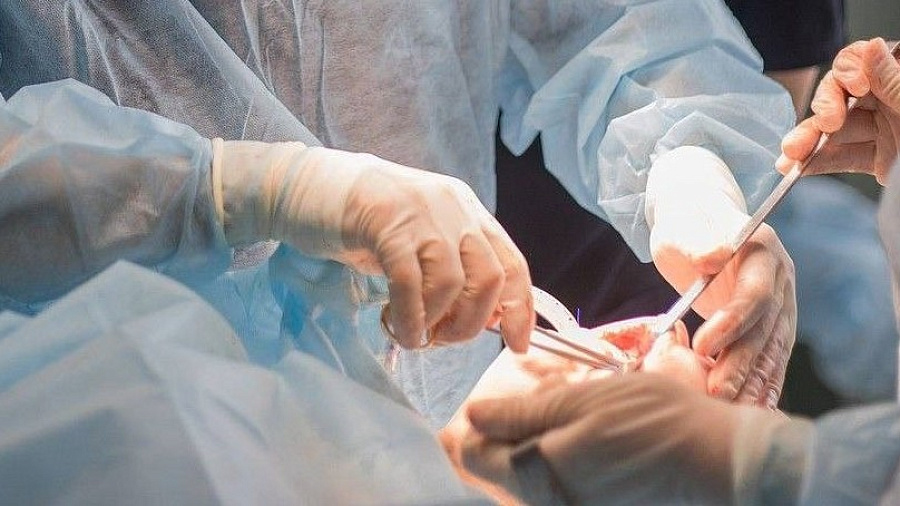 В Краснодаре хирурги пришили 4-летнему мальчику лицо, откушенное собакой