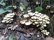 Депутаты ЗСК обсудили планы дальнейшего развития Белореченского района