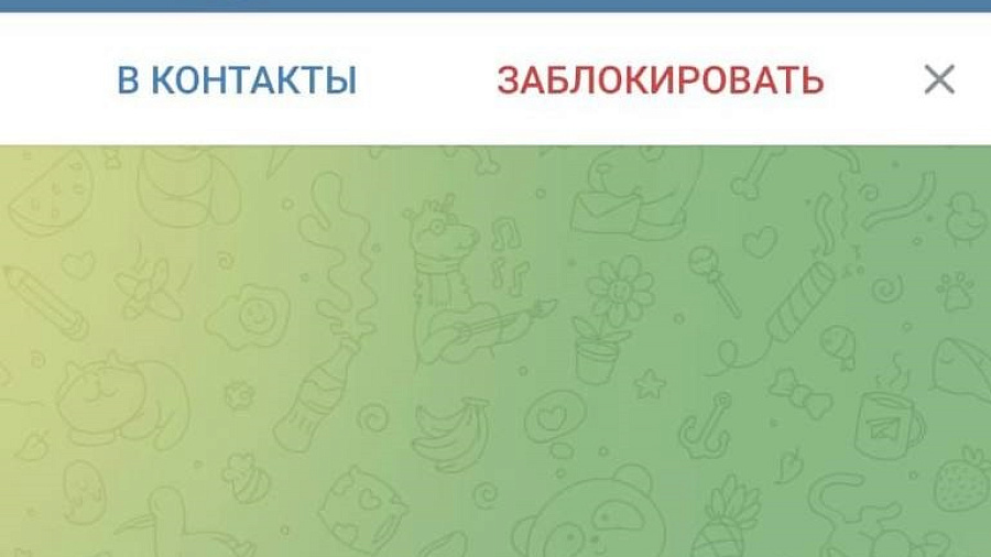 Мошенники добрались до аккаунта вице-губернатора Краснодарского края Анны Миньковой