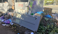 Жителям Краснодара грозит штраф за выброс веток в мусорный контейнер