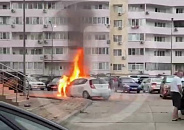 Жителей Анапы напугало горящее дерево и искрящиеся провода 