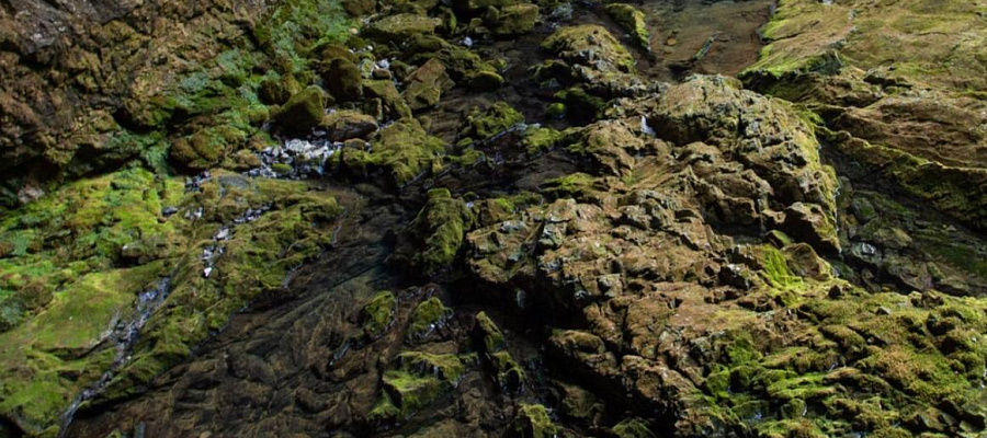 На Алтае археологи обнаружили две пещеры со следами денисовского человека