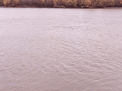 Учитель назвал русских свиньями на уроке в школе Краснодара