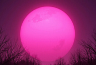 Жители Кубани увидят Розовую Луну в начале апреля