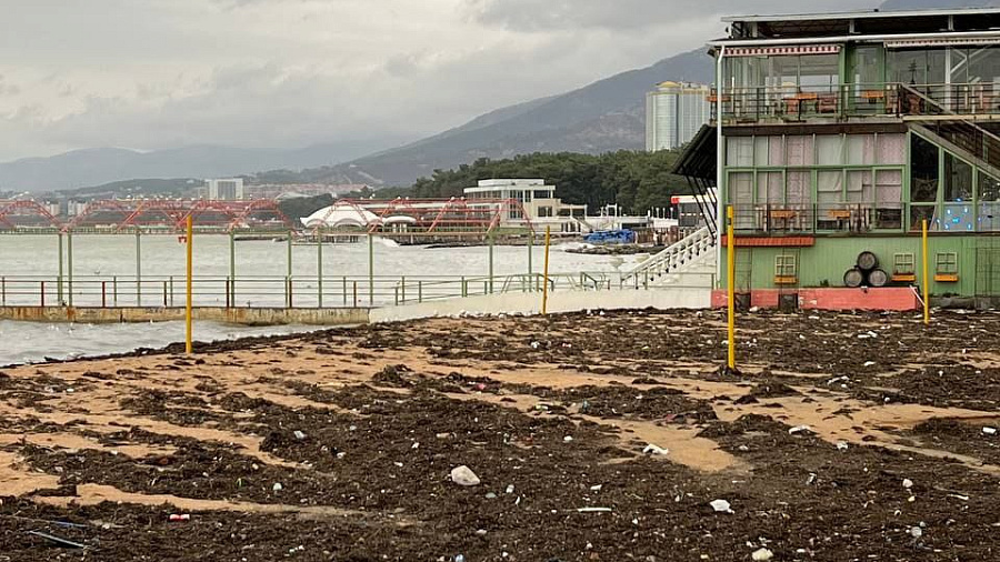 Пляжи Геленджика завалило тоннами мусора после шторма