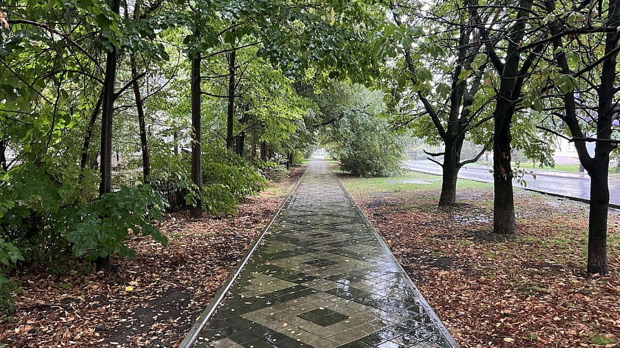 В Краснодаре и крае в субботу погода предложит осенний сценарий: дожди и прохлада, в горах — до -2°С