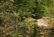 Нацпарк Сочи опроверг продажу нелегальных туров на своей территории