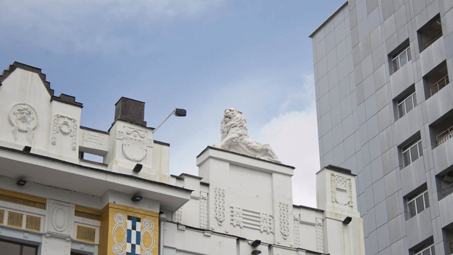 В Краснодаре пройдет пешеходная экскурсия «Звери в городе»