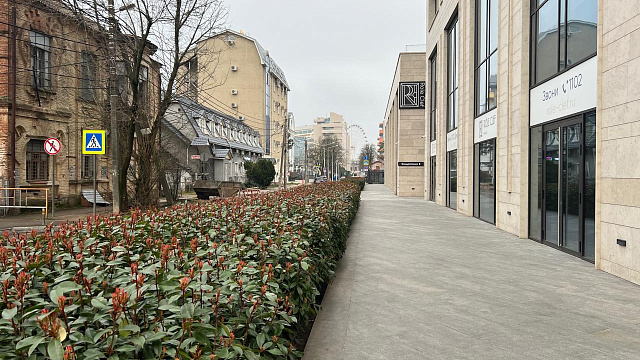 В Краснодаре и крае в середине недели погода сохранит облачный характер с ночными дождями и дневным теплом до +7°С